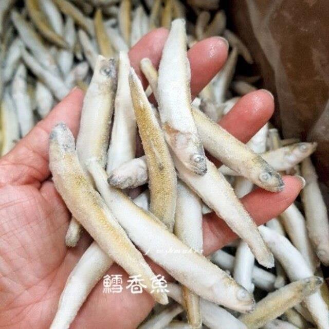 鱈香魚(生鮮)大尾,鮮味工坊