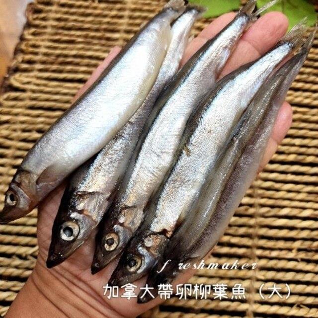 鮮味柳葉魚 大 (生鮮 - 約13~15尾),鮮味工坊