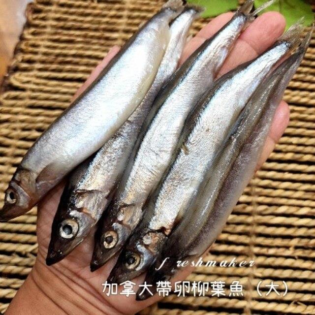 鮮味柳葉魚 大 (生鮮 - 約13~15尾),鮮味工坊
